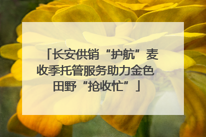 长安供销“护航”麦收季托管服务助力金色田野“抢收忙”