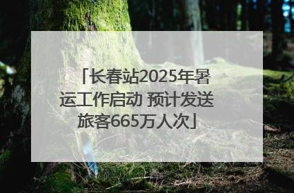 长春站2025年暑运工作启动 预计发送旅客665万人次