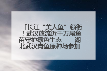 长江“美人鱼”领衔！武汉放流近千万尾鱼苗守护绿色生态——湖北武汉青鱼原种场参加2025年“全国放鱼日”增殖放流活动