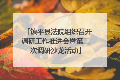 镇平县法院组织召开调研工作推进会暨第二次调研沙龙活动