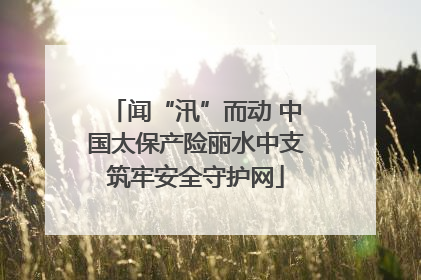 闻“汛”而动 中国太保产险丽水中支筑牢安全守护网