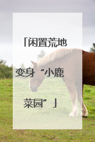 闲置荒地变身“小鹿菜园”
