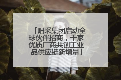 阳采集团启动全球伙伴招商，千家优质厂商共创工业品供应链新增量