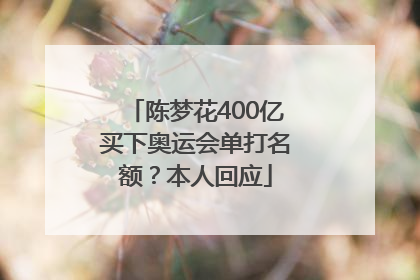 陈梦花400亿买下奥运会单打名额？本人回应