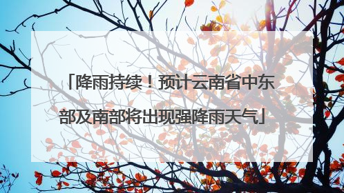 降雨持续！预计云南省中东部及南部将出现强降雨天气