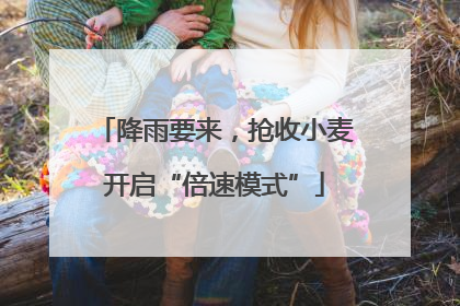 降雨要来，抢收小麦开启“倍速模式”