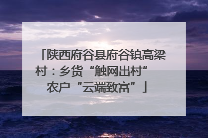 陕西府谷县府谷镇高梁村：乡货“触网出村” 农户“云端致富”