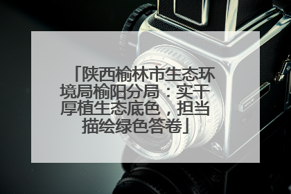 陕西榆林市生态环境局榆阳分局：实干厚植生态底色，担当描绘绿色答卷