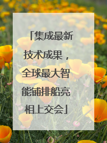 集成最新技术成果，全球最大智能铺排船亮相上交会