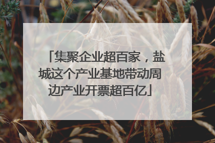 集聚企业超百家，盐城这个产业基地带动周边产业开票超百亿