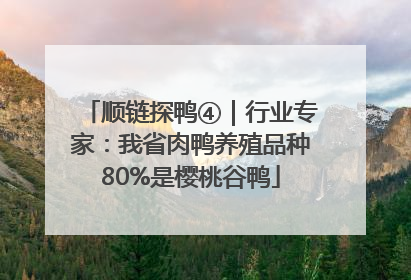 顺链探鸭④｜行业专家：我省肉鸭养殖品种80%是樱桃谷鸭