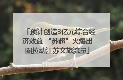 预计创造3亿元综合经济效益 “苏超”火爆出圈拉动江苏文旅流量
