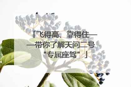 飞得高、靠得住——带你了解天问二号“专属座驾”