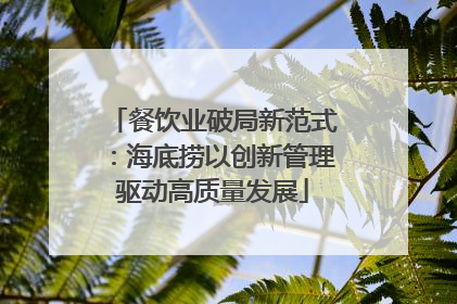 餐饮业破局新范式：海底捞以创新管理驱动高质量发展