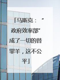 马斯克：“政府效率部”成了一切的替罪羊，这不公平