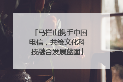 马栏山携手中国电信，共绘文化科技融合发展蓝图