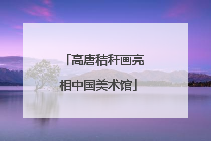 高唐秸秆画亮相中国美术馆