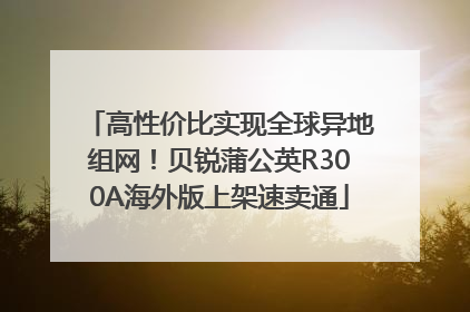 高性价比实现全球异地组网！贝锐蒲公英R300A海外版上架速卖通
