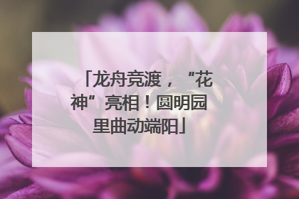 龙舟竞渡，“花神”亮相！圆明园里曲动端阳