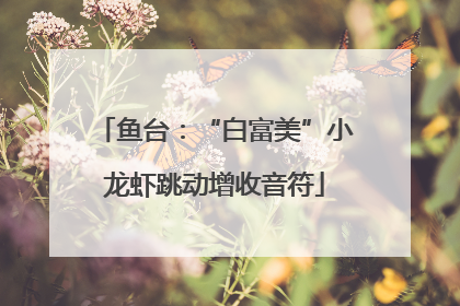 鱼台：“白富美”小龙虾跳动增收音符