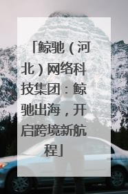 鲸驰（河北）网络科技集团：鲸驰出海，开启跨境新航程