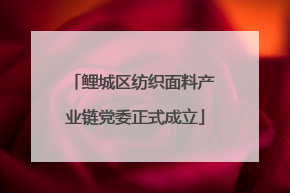 鲤城区纺织面料产业链党委正式成立