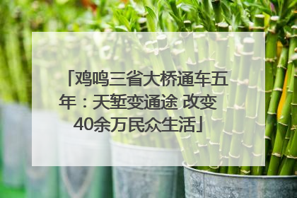 鸡鸣三省大桥通车五年：天堑变通途 改变40余万民众生活