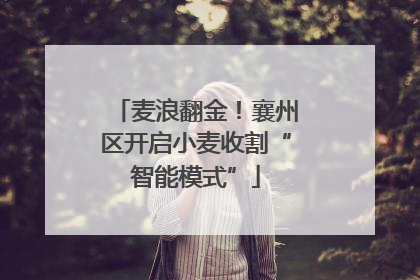 麦浪翻金！襄州区开启小麦收割“智能模式”