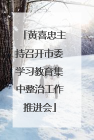 黄喜忠主持召开市委学习教育集中整治工作推进会