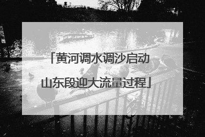 黄河调水调沙启动 山东段迎大流量过程