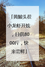 黄陂头茬小龙虾开炫，日供8000斤，快来尝鲜