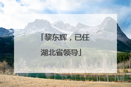 黎东辉，已任湖北省领导