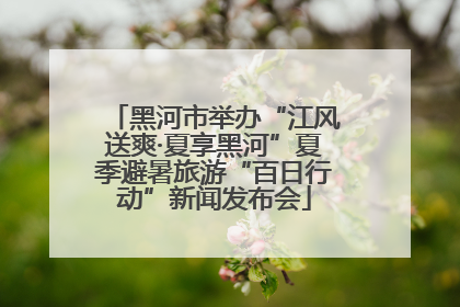 黑河市举办“江风送爽·夏享黑河”夏季避暑旅游“百日行动”新闻发布会
