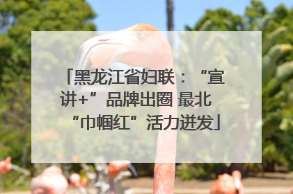 黑龙江省妇联：“宣讲+”品牌出圈 最北“巾帼红”活力迸发
