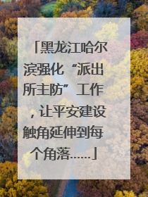 黑龙江哈尔滨强化“派出所主防”工作，让平安建设触角延伸到每个角落……