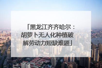 黑龙江齐齐哈尔：胡萝卜无人化种植破解劳动力短缺难题