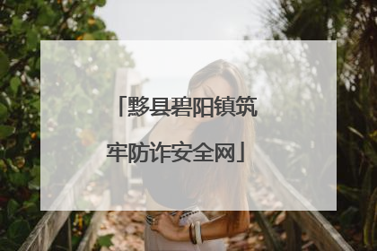 黟县碧阳镇筑牢防诈安全网
