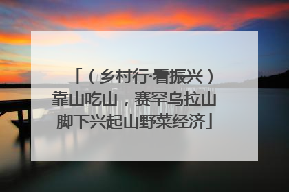 （乡村行·看振兴）靠山吃山，赛罕乌拉山脚下兴起山野菜经济