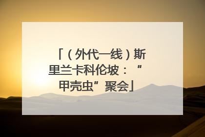 （外代一线）斯里兰卡科伦坡：“甲壳虫”聚会