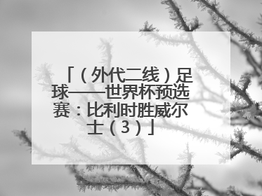 （外代二线）足球——世界杯预选赛：比利时胜威尔士（3）