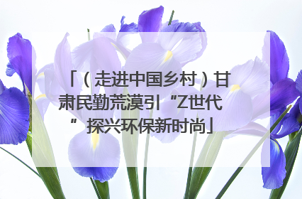 （走进中国乡村）甘肃民勤荒漠引“Z世代”探兴环保新时尚