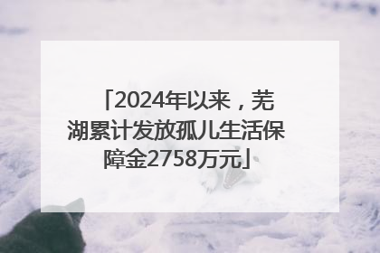 2024年以来，芜湖累计发放孤儿生活保障金2758万元
