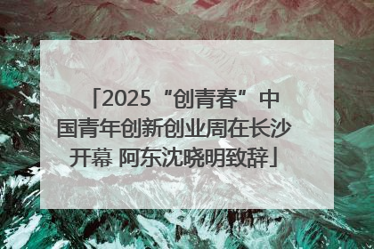 2025“创青春”中国青年创新创业周在长沙开幕 阿东沈晓明致辞