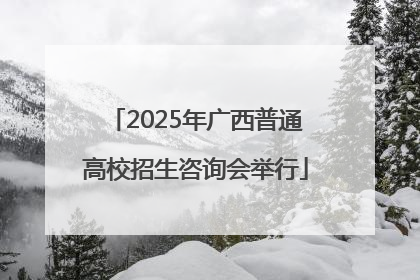 2025年广西普通高校招生咨询会举行