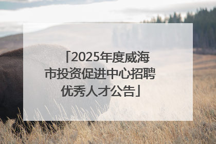 2025年度威海市投资促进中心招聘优秀人才公告