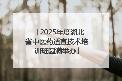 2025年度湖北省中医药适宜技术培训班圆满举办