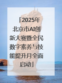 2025年北京市AI创新大赛暨全民数字素养与技能提升月全面启动