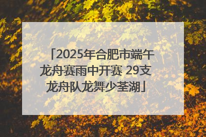 2025年合肥市端午龙舟赛雨中开赛 29支龙舟队龙舞少荃湖