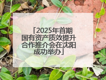 2025年首期国有资产质效提升合作推介会在沈阳成功举办