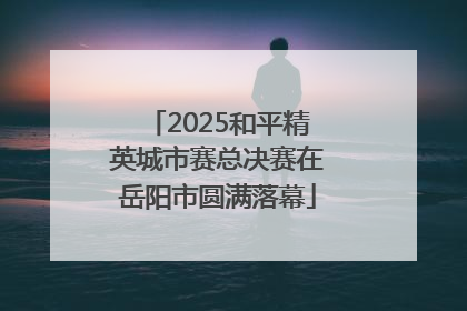 2025和平精英城市赛总决赛在岳阳市圆满落幕
